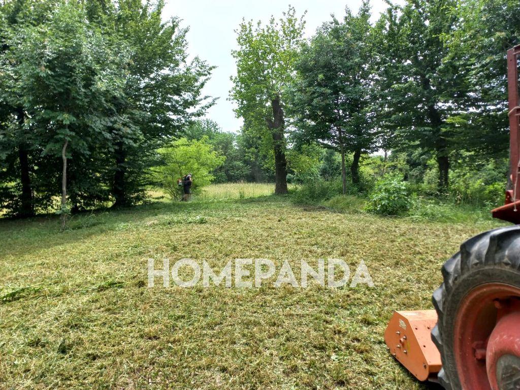 immagine annuncio 2 di 7
