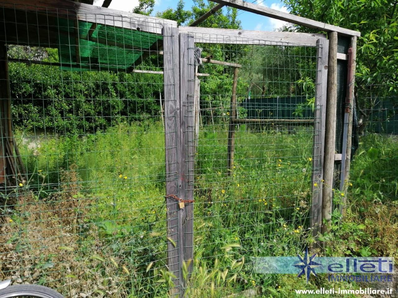 immagine annuncio 3 di 11