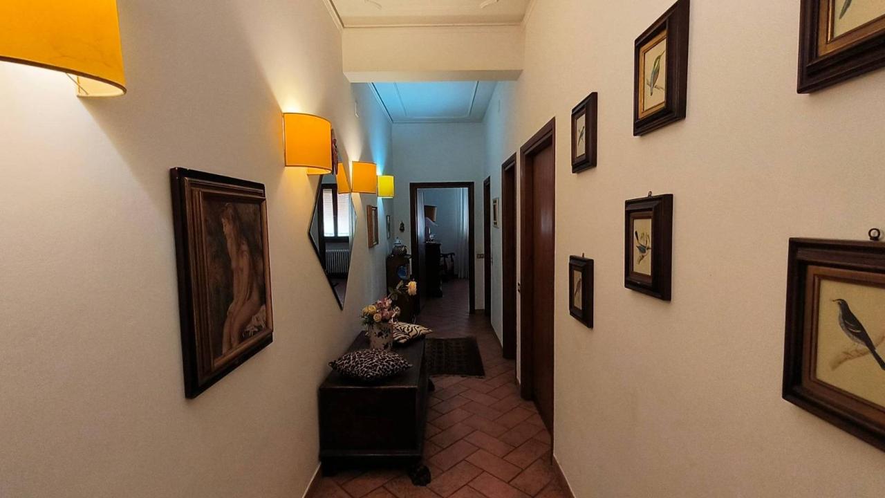 immagine annuncio 6 di 13