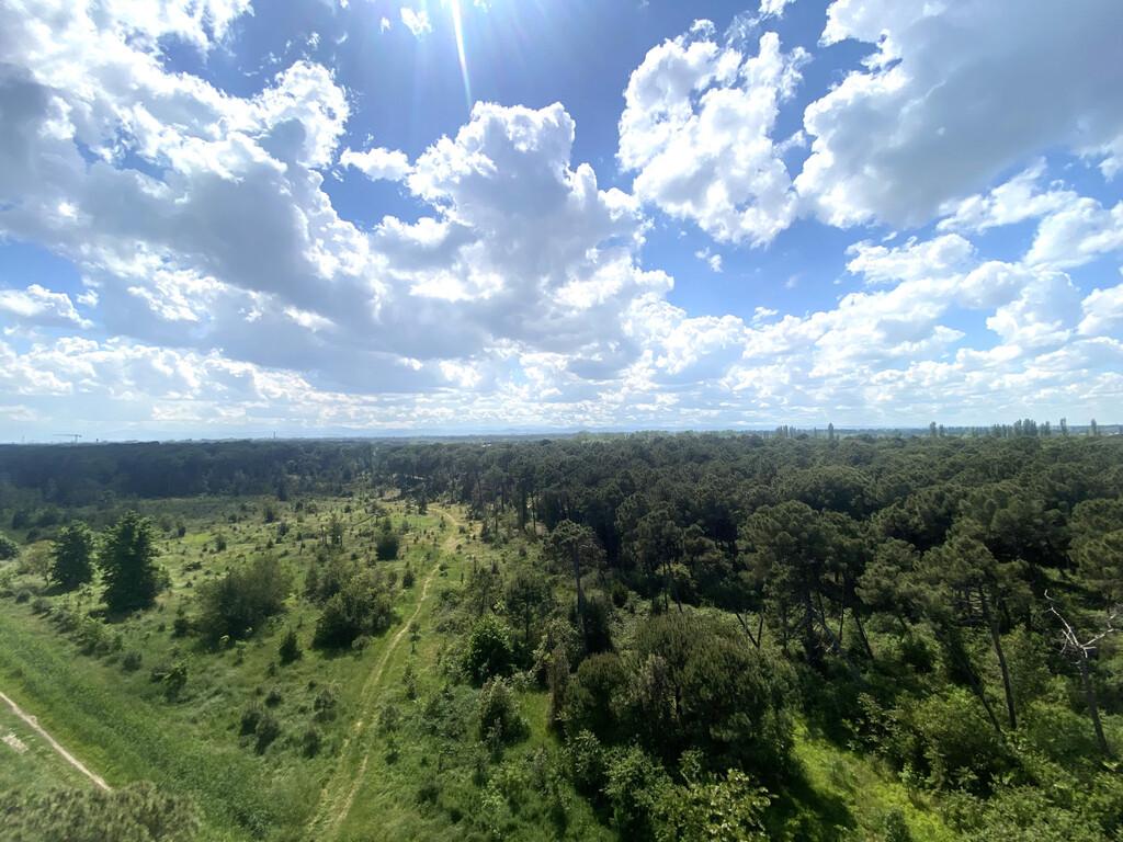 immagine annuncio 3 di 12