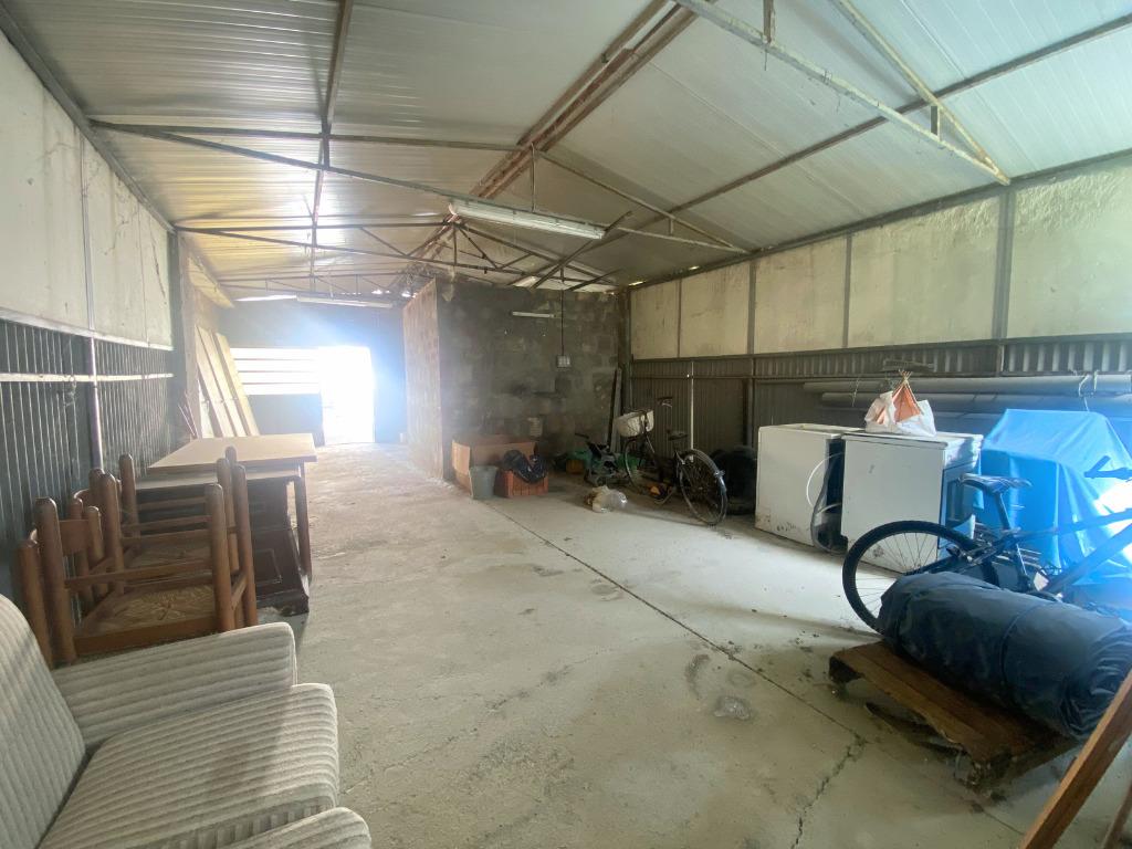 immagine annuncio 4 di 11