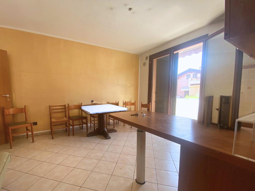 immagine annuncio 3 di 14