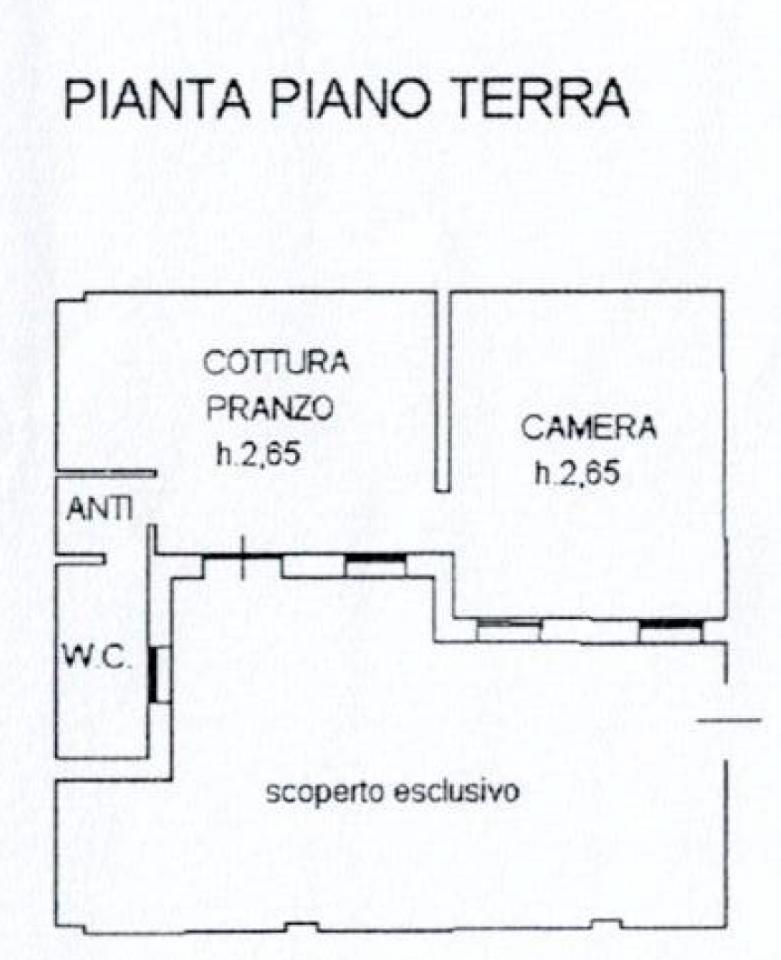 immagine annuncio 12 di 13