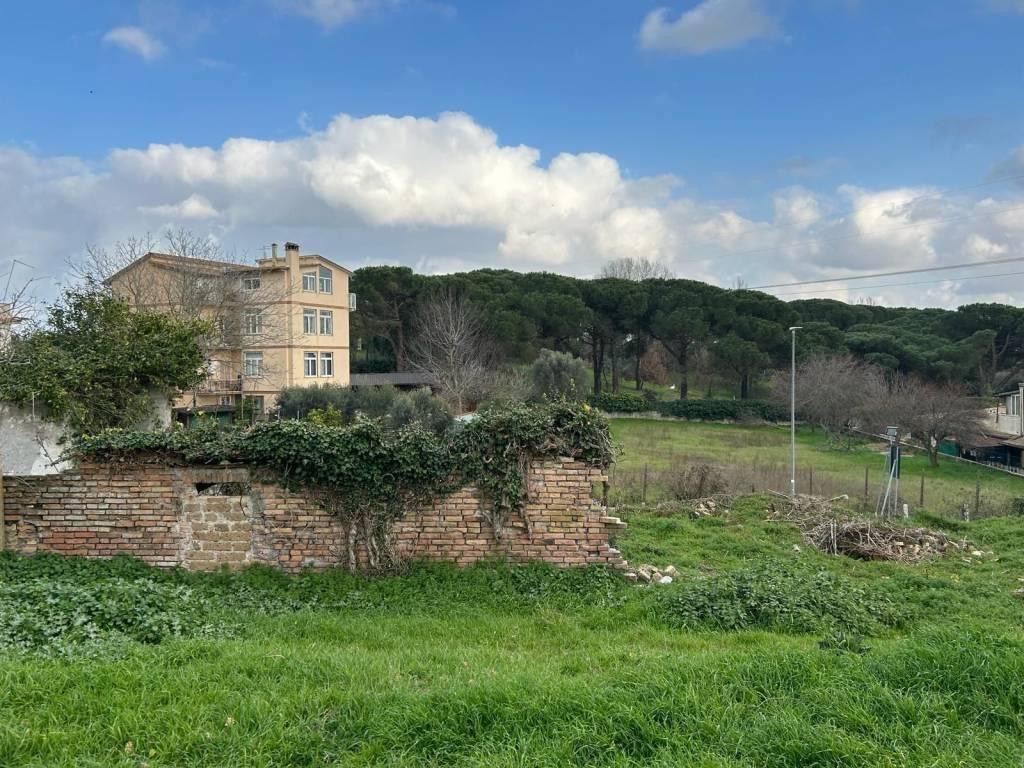 immagine annuncio 10 di 14
