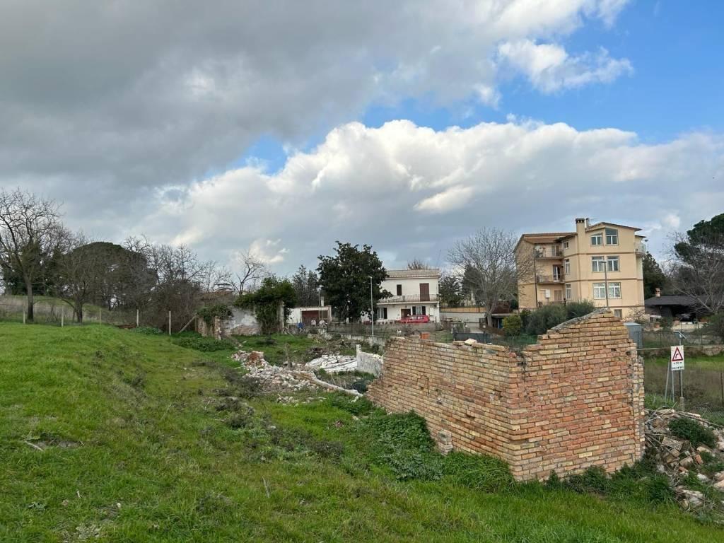 immagine annuncio 3 di 14