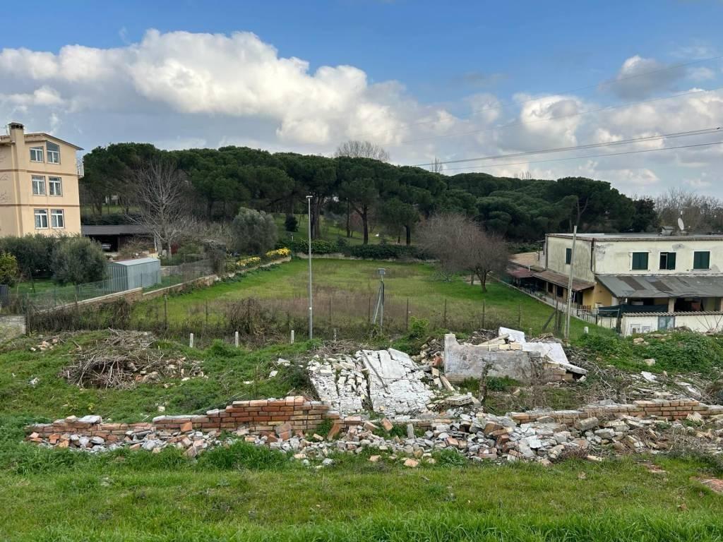 immagine annuncio 7 di 14