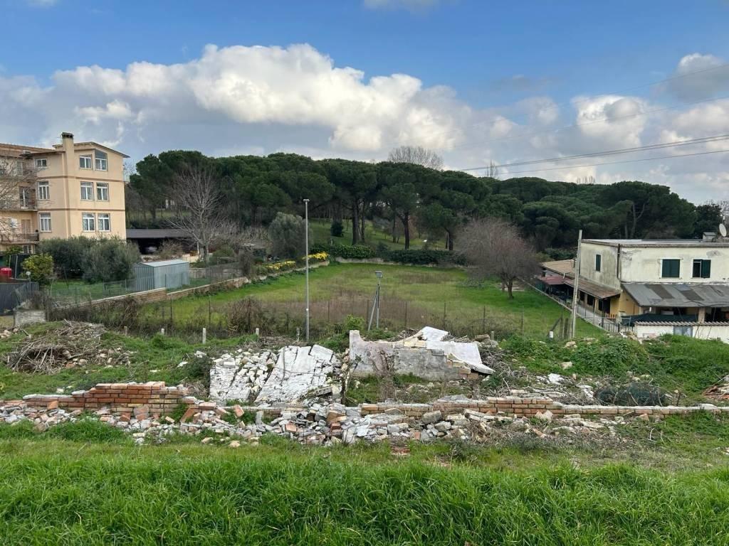 immagine annuncio 6 di 14