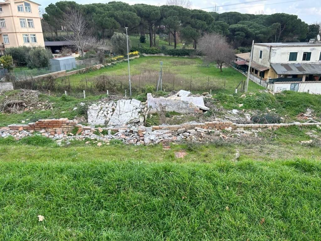 immagine annuncio 9 di 14