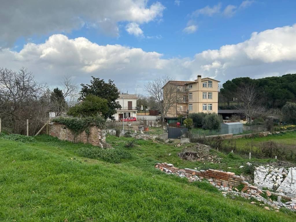 immagine annuncio 5 di 14