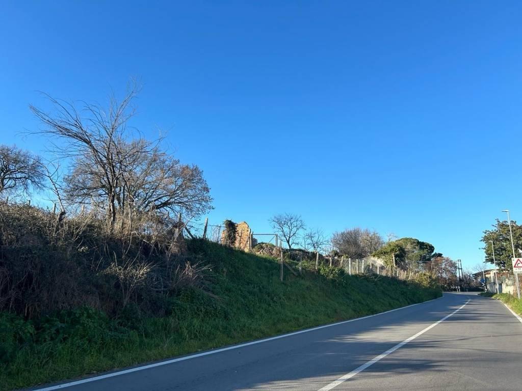 immagine annuncio 12 di 14