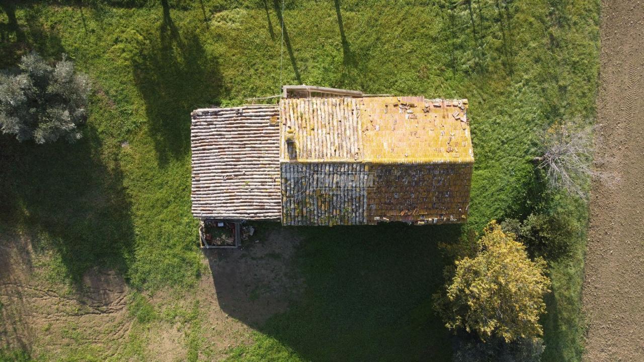 immagine annuncio 4 di 6