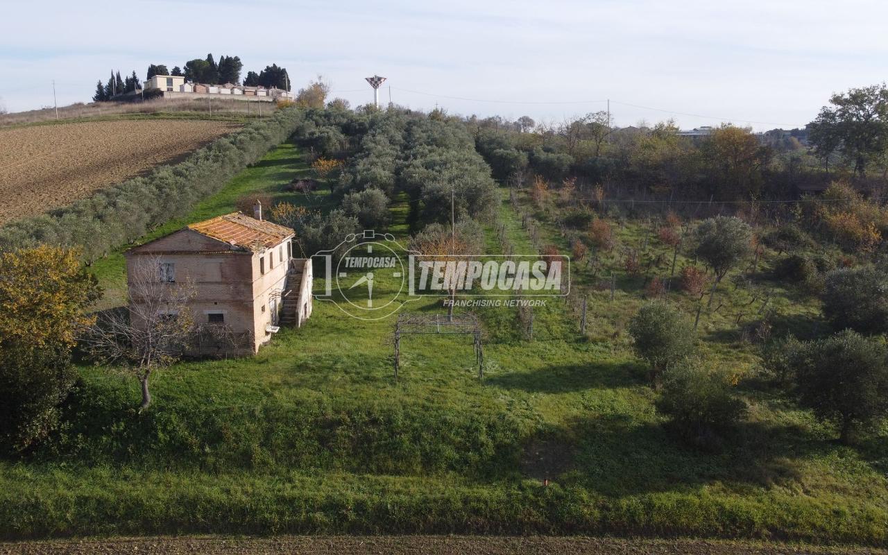 immagine annuncio 2 di 6