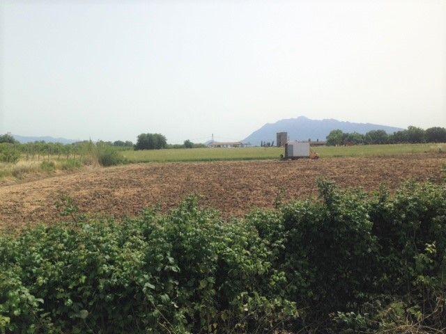 Terreno agricolo in vendita a Eboli