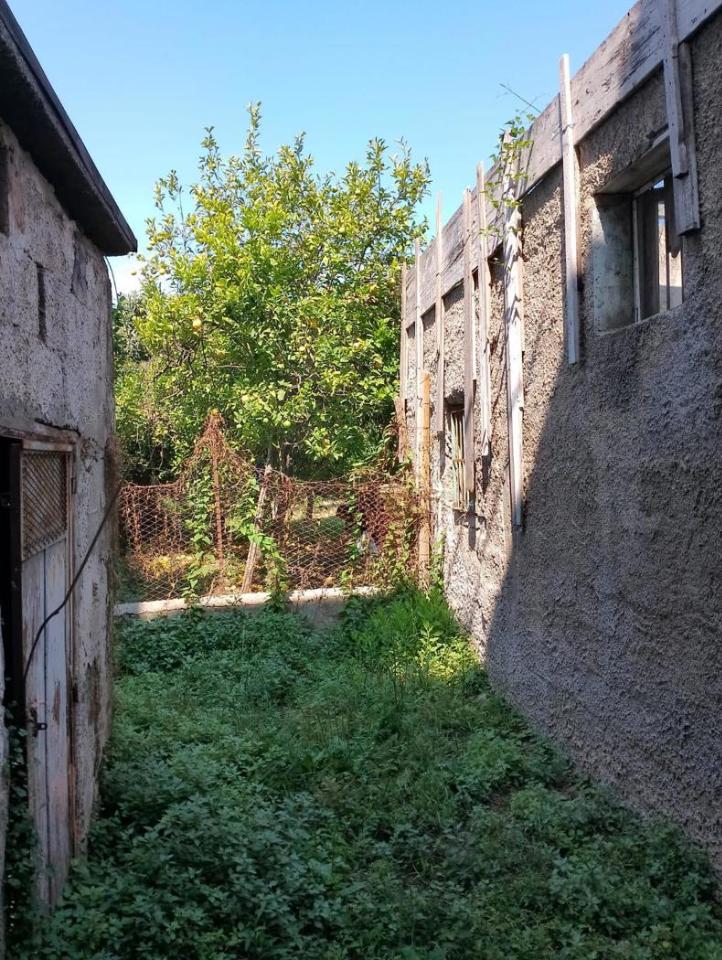 immagine annuncio 9 di 14