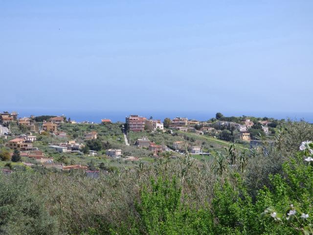 Terreno agricolo in {3}, Via Amalfitana Snc - Foto 1