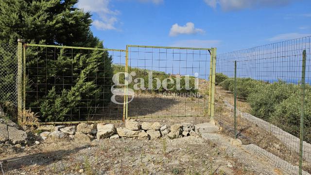 Agricultural land in {3}, Contrada Amalfitano Snc - Photo 1