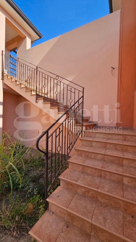 immagine annuncio 12 di 14