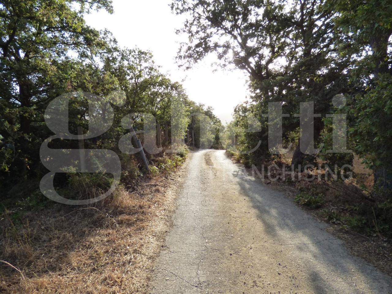 immagine annuncio 5 di 9