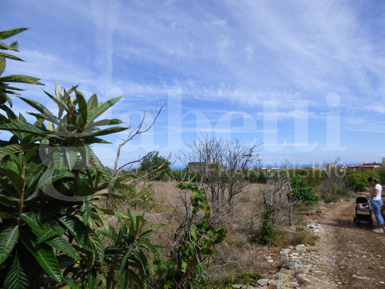 immagine annuncio 4 di 6