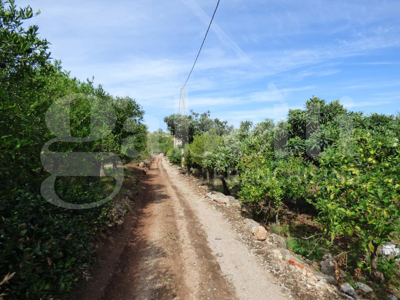 immagine annuncio 2 di 6