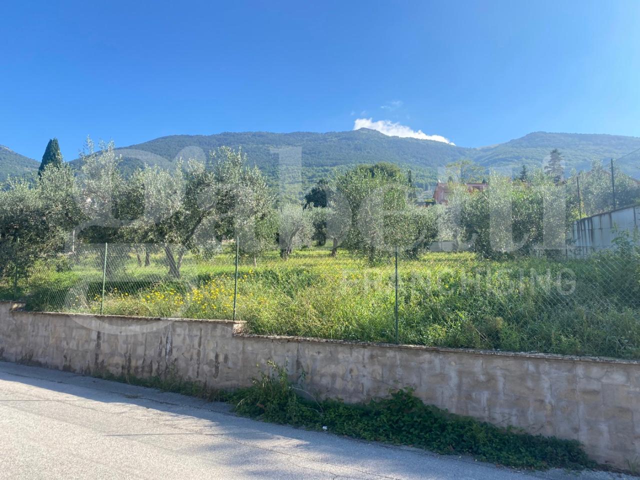 immagine annuncio 9 di 12