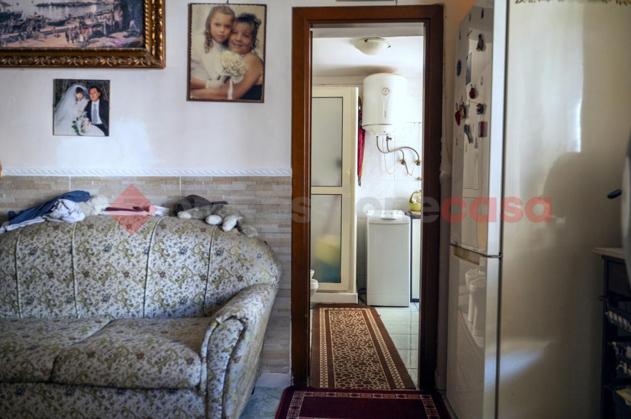 immagine annuncio 10 di 14