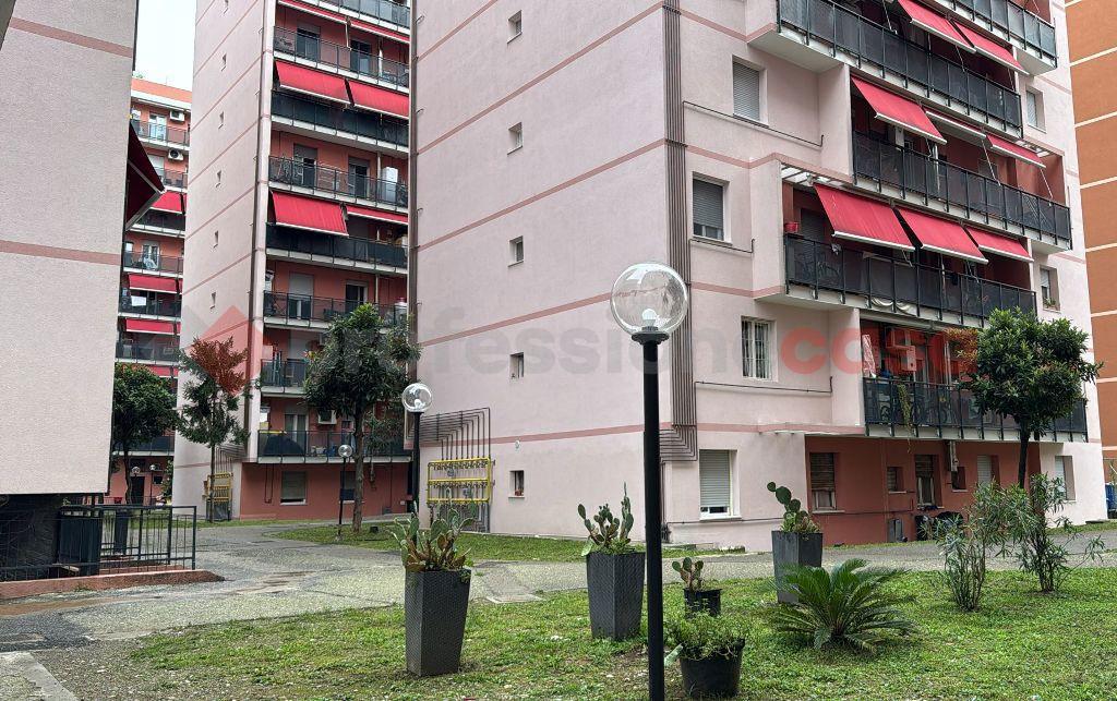 immagine annuncio 12 di 14