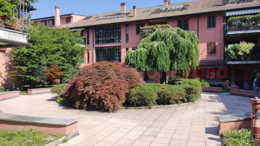 immagine annuncio 9 di 15
