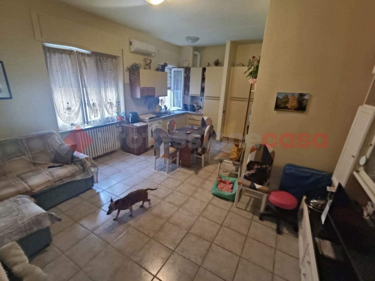 immagine annuncio 7 di 13
