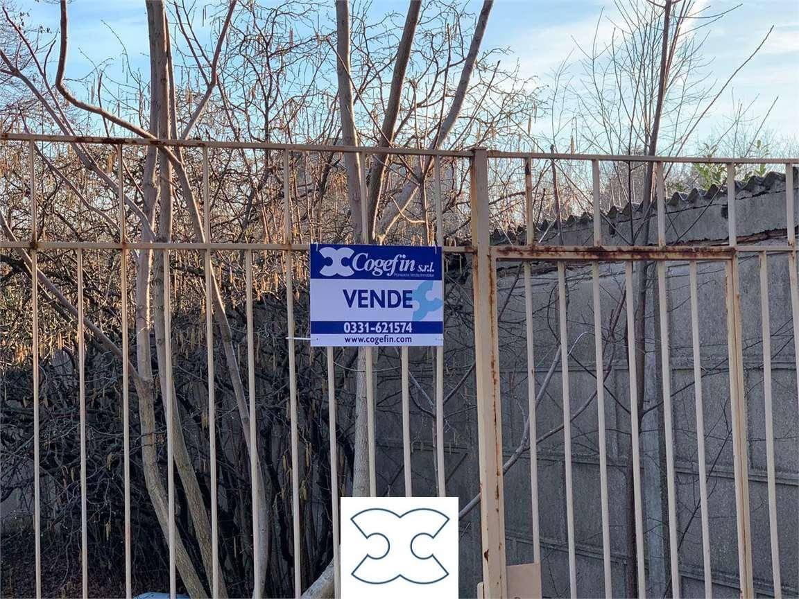 immagine annuncio 1 di 8