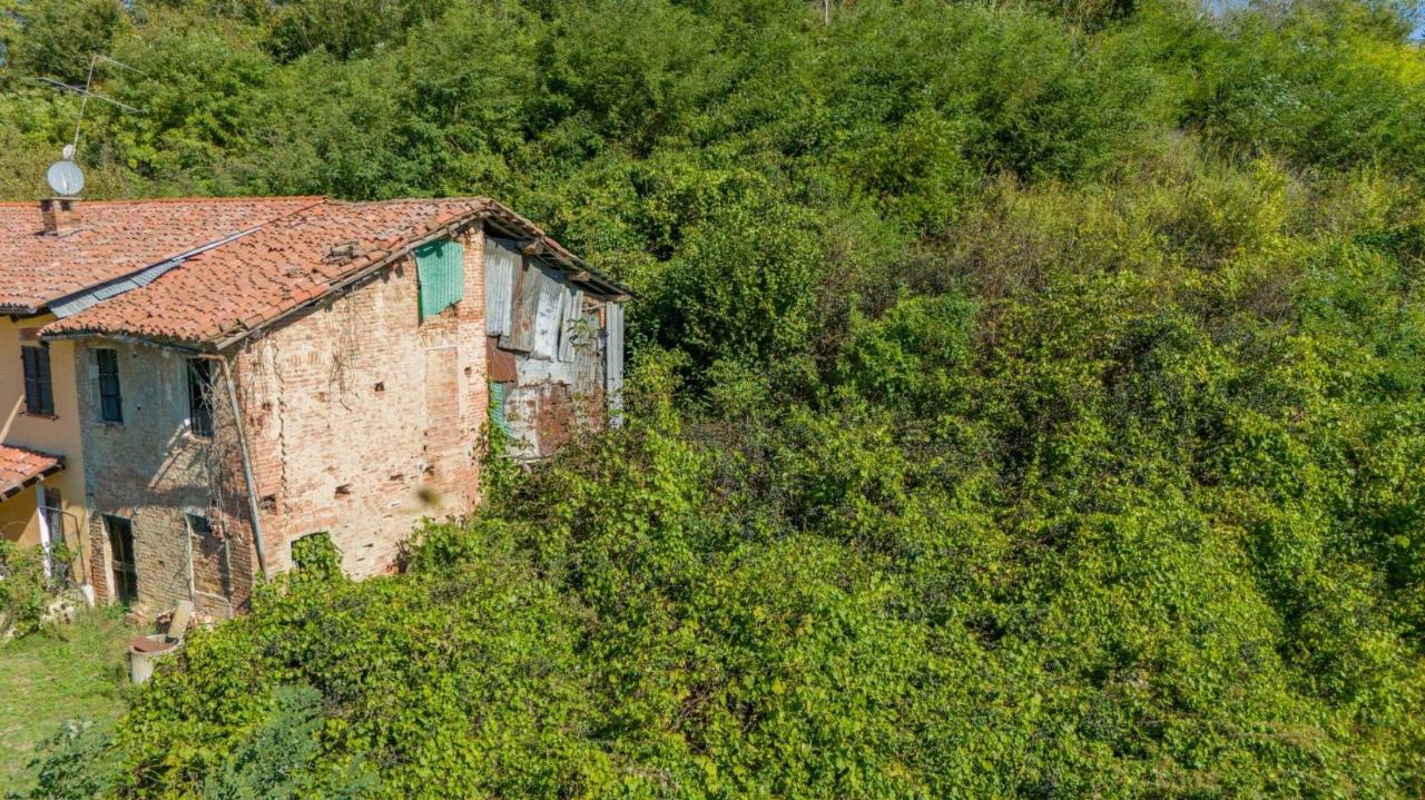 immagine annuncio 3 di 12