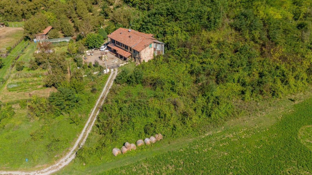 immagine annuncio 5 di 12