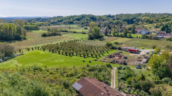 immagine annuncio 8 di 12