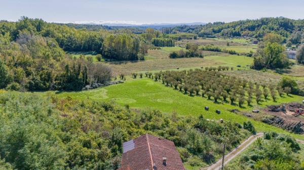 immagine annuncio 9 di 12