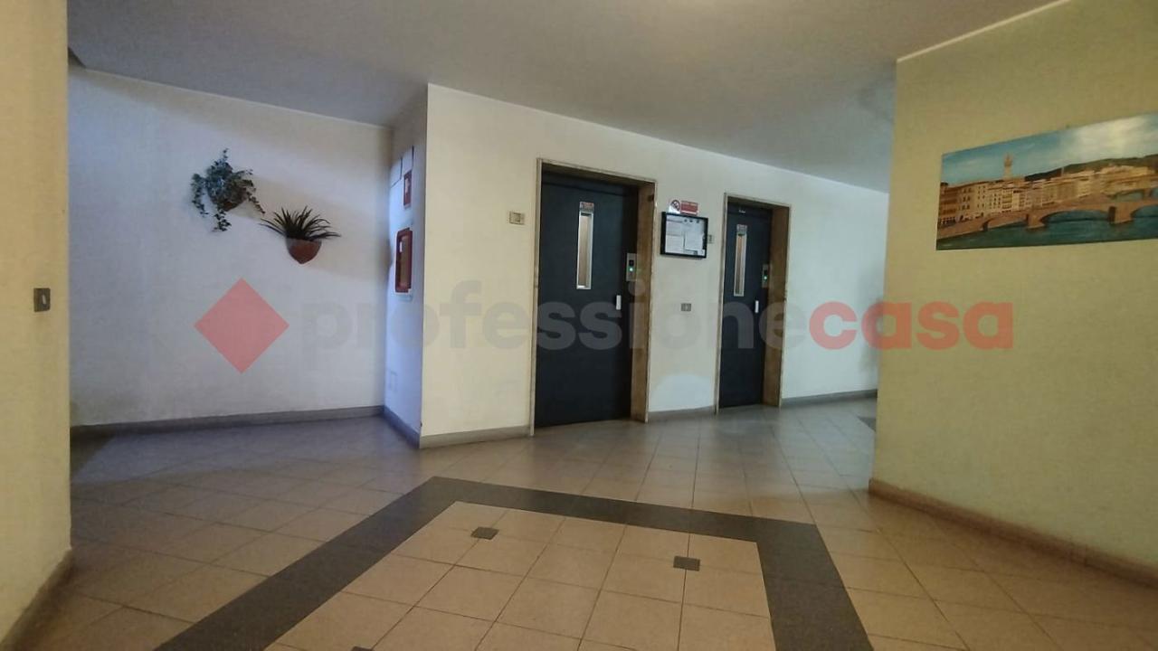 immagine annuncio 4 di 12