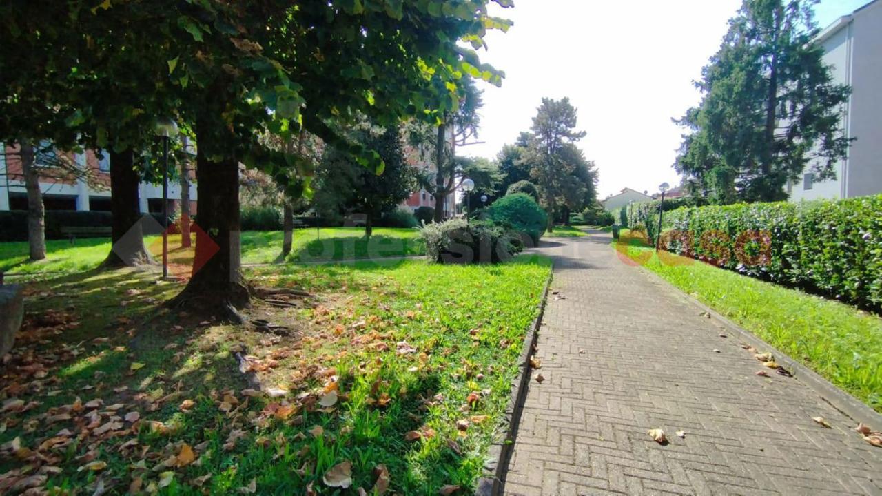 immagine annuncio 3 di 12