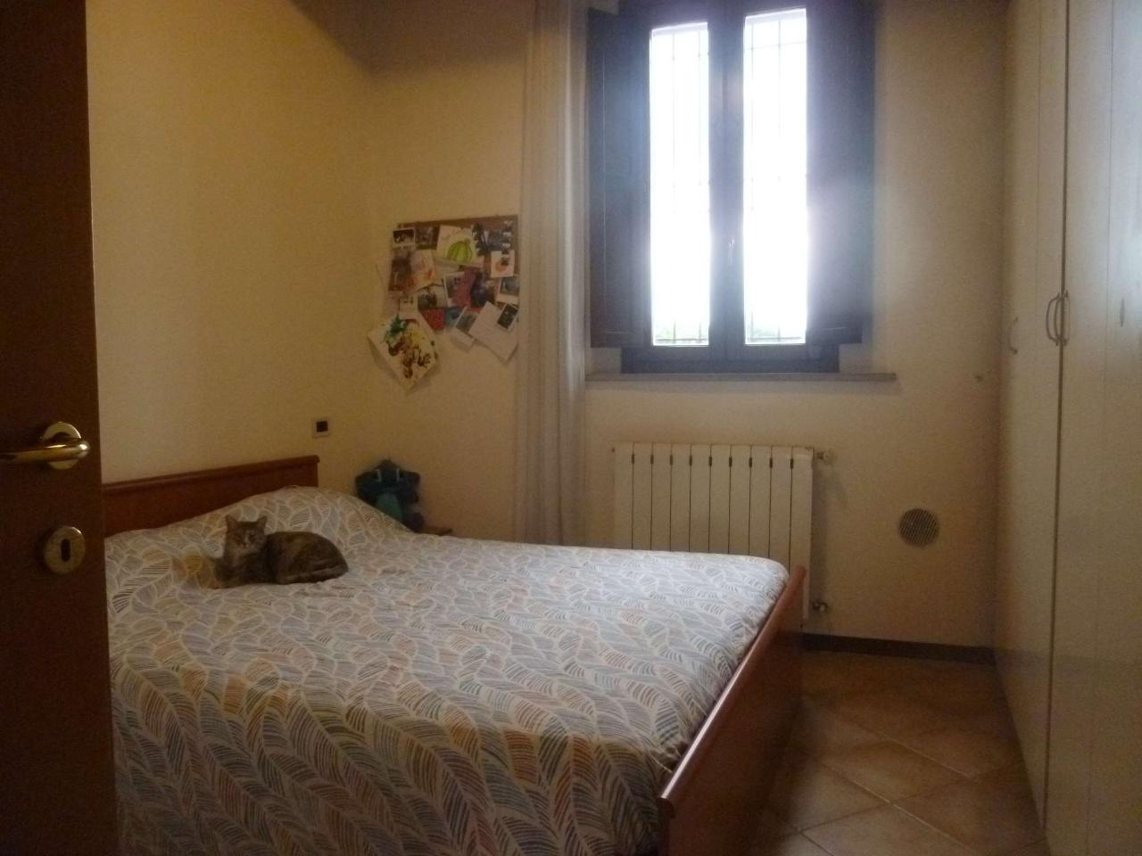 immagine annuncio 8 di 14