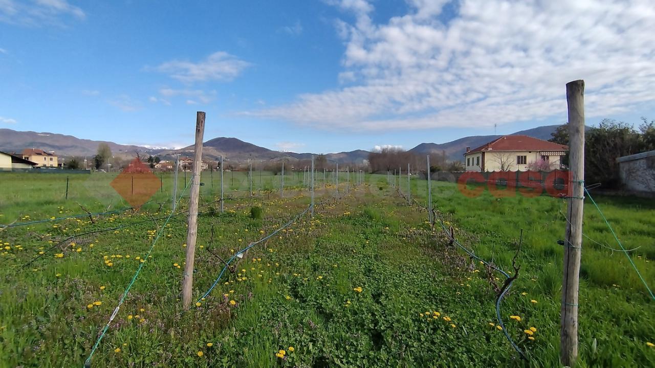 immagine annuncio 4 di 11