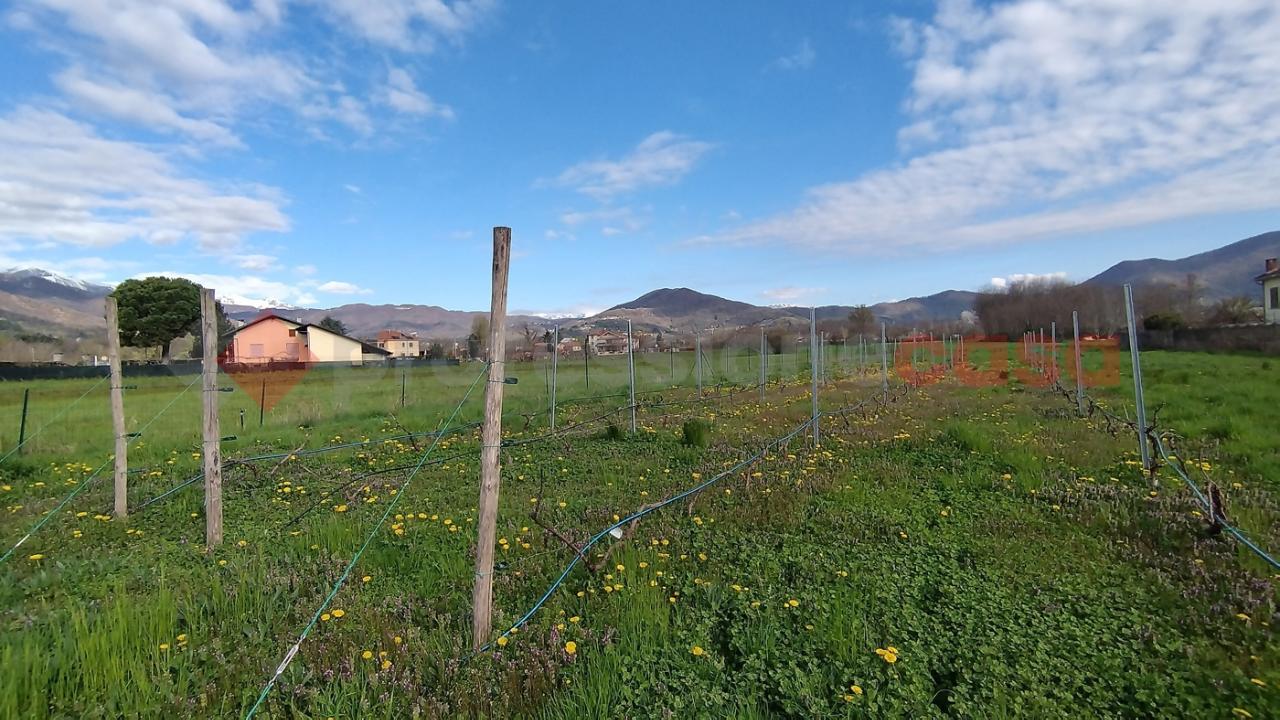immagine annuncio 1 di 11
