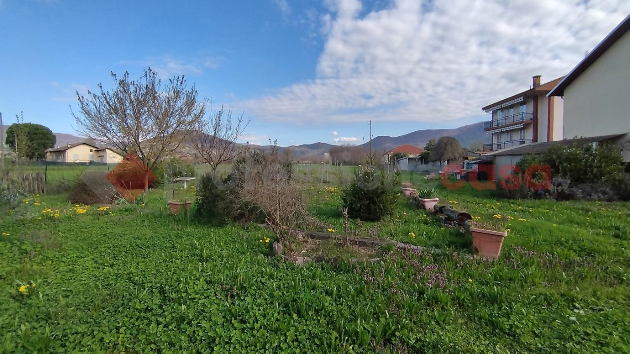 immagine annuncio 3 di 11