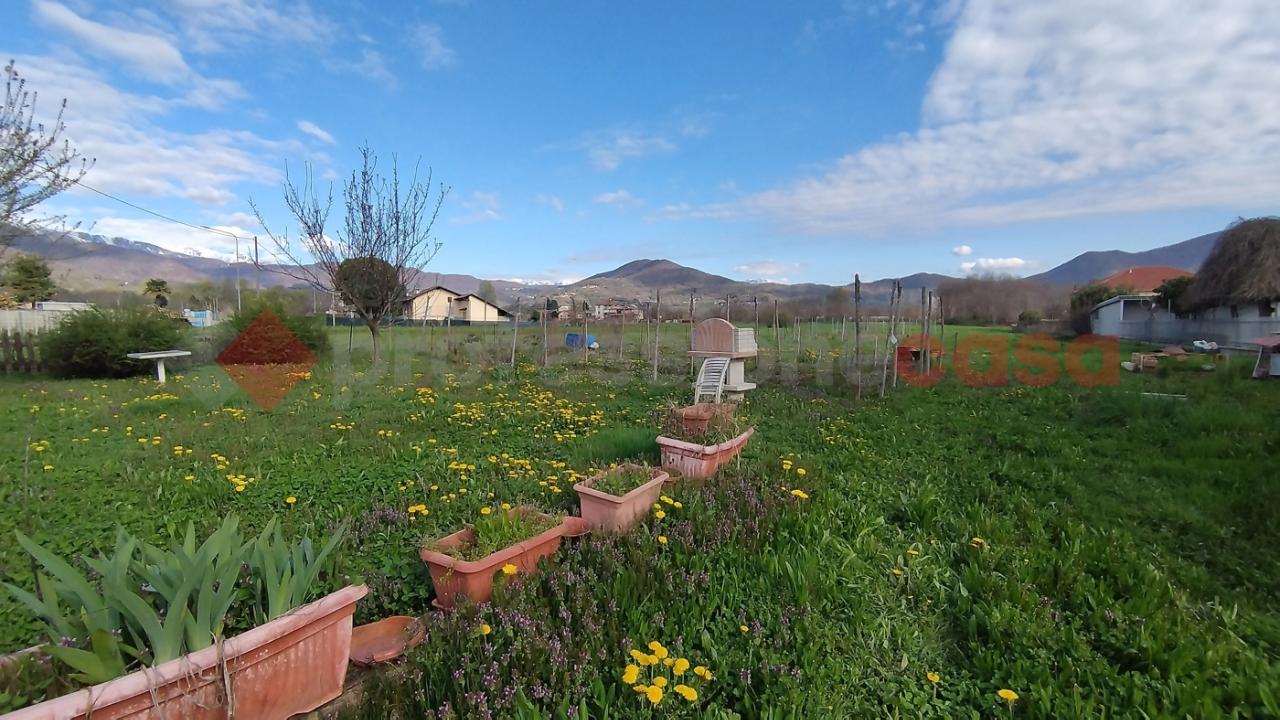 immagine annuncio 8 di 11