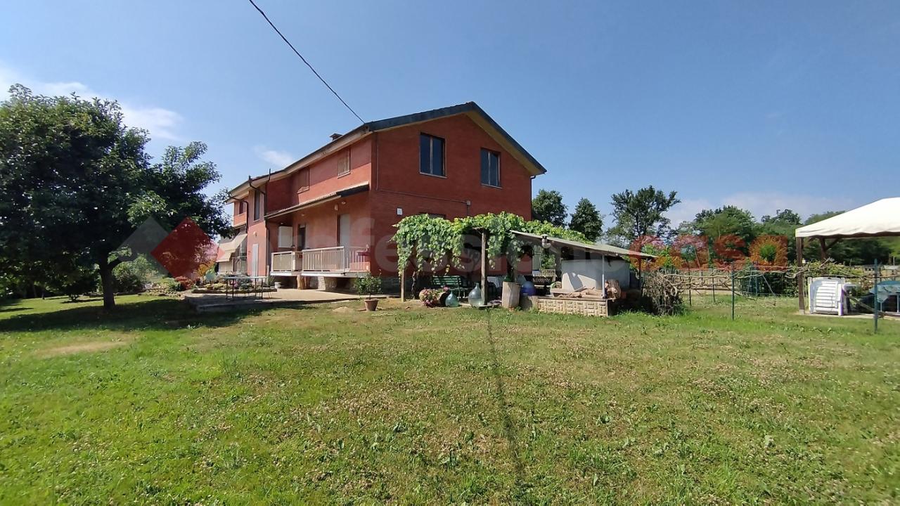 immagine annuncio 13 di 14