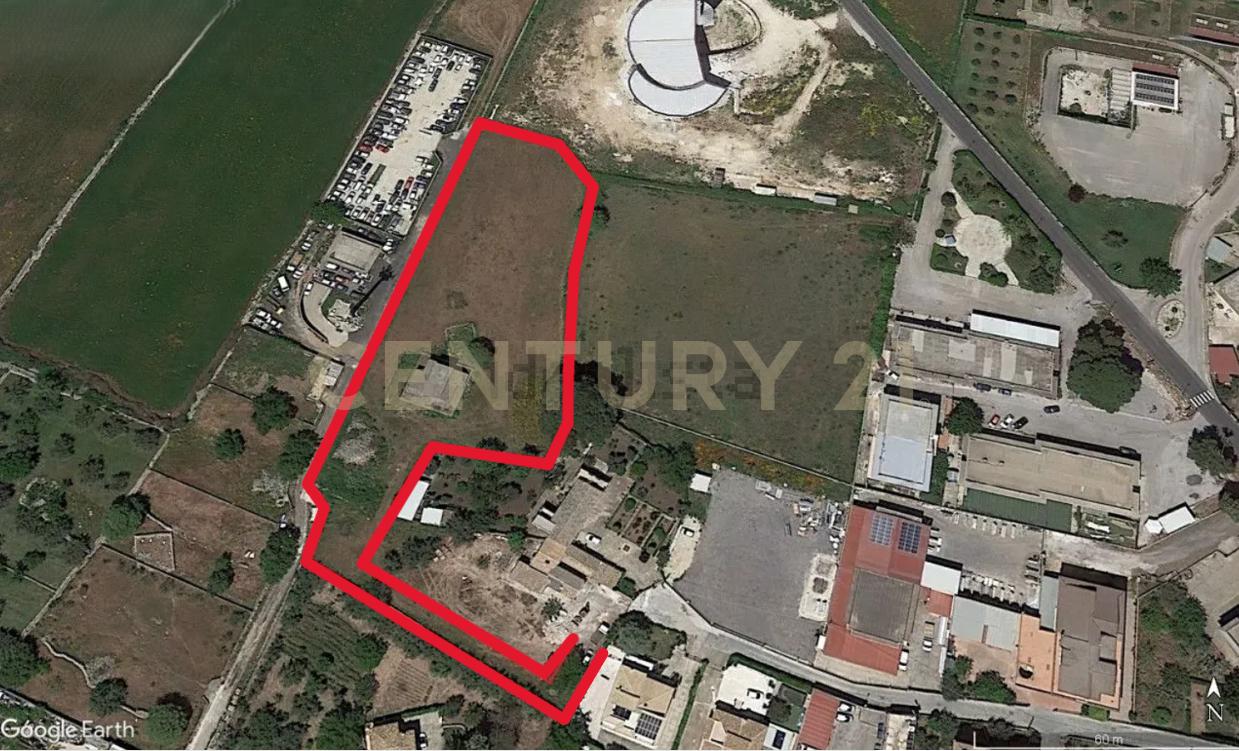 immagine annuncio 3 di 13