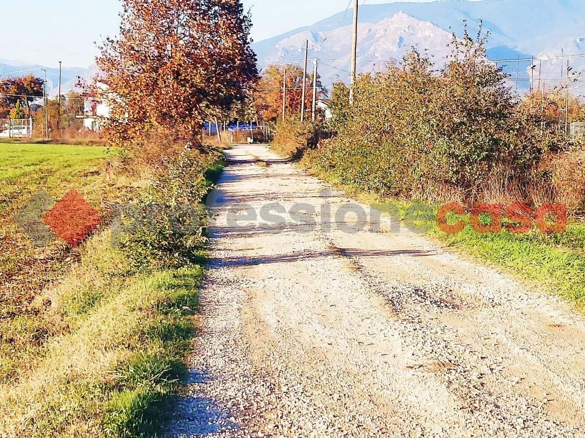 immagine annuncio 10 di 11