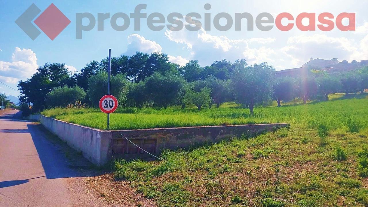 immagine annuncio 4 di 8