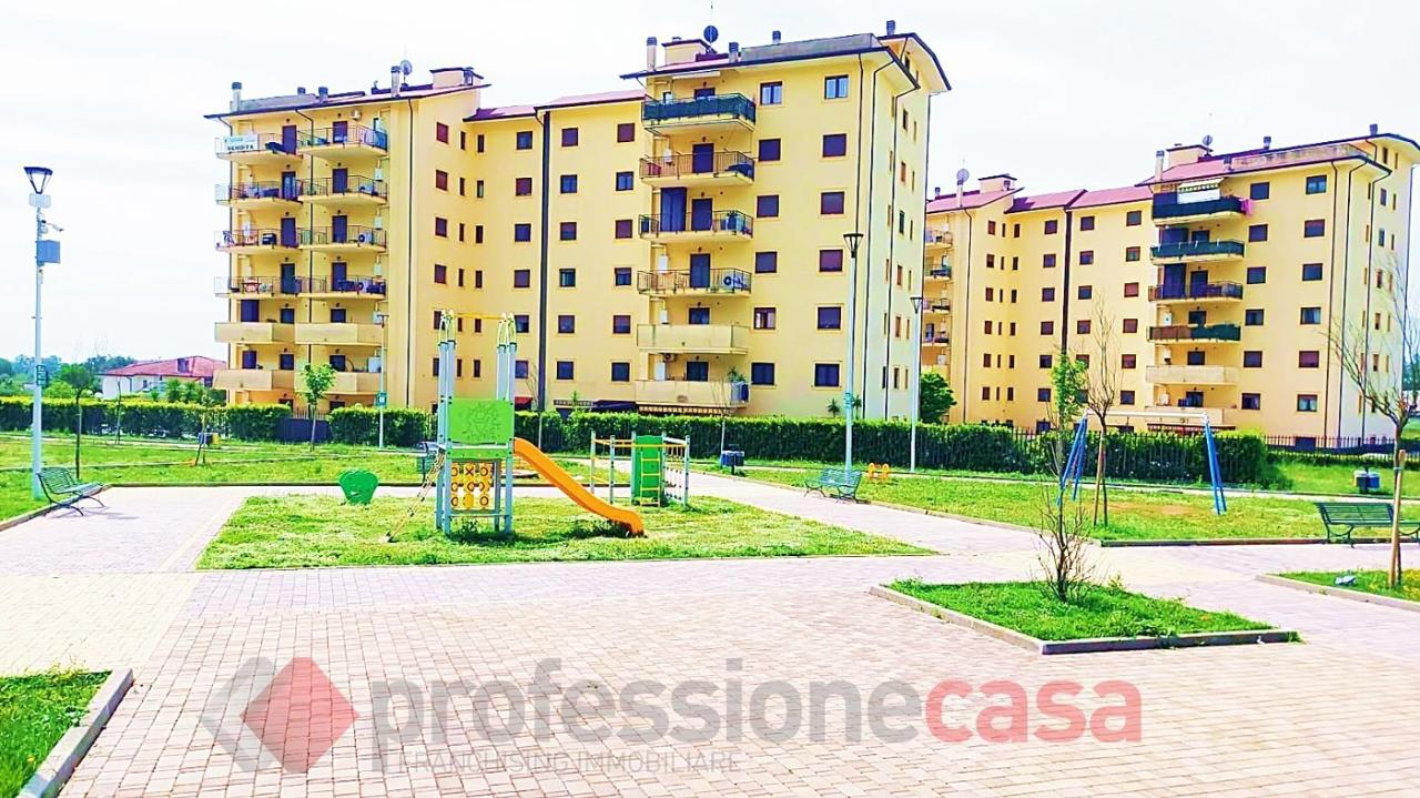 immagine annuncio 12 di 14