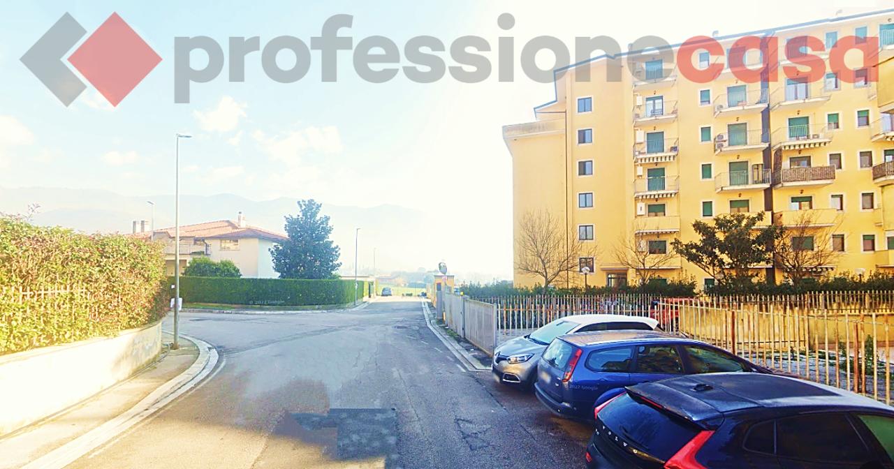immagine annuncio 11 di 14