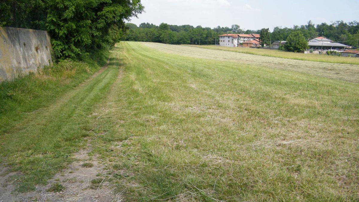 Terreno edificabile in vendita a Divignano