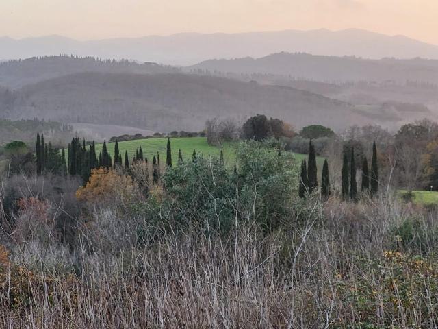 Terreno agricolo in {3}, - Foto 1