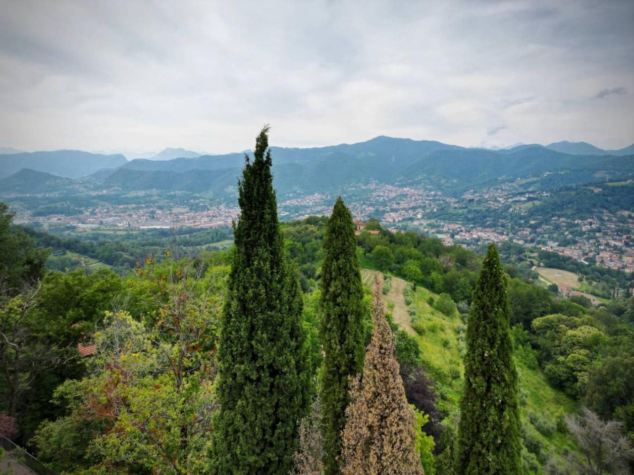 immagine annuncio 10 di 12